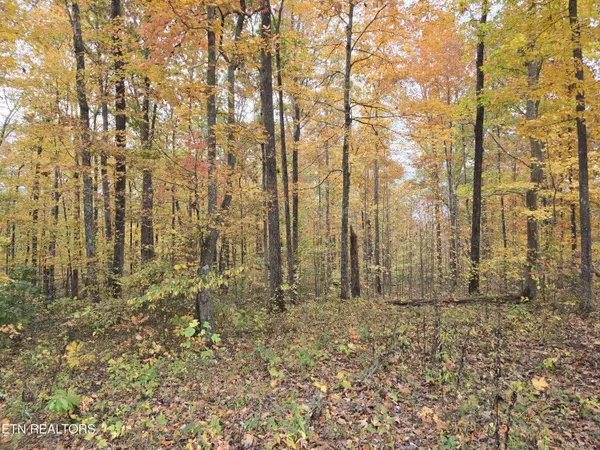 Jamestown, TN 38556,Lot 73 Tomahawk Rd