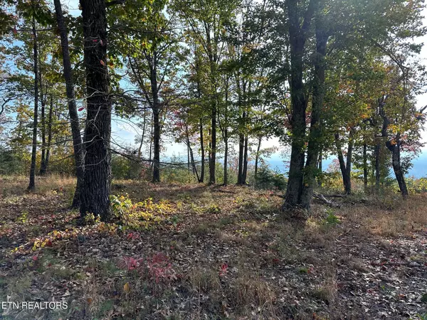 Evensville, TN 37332,288 Duckwood LN