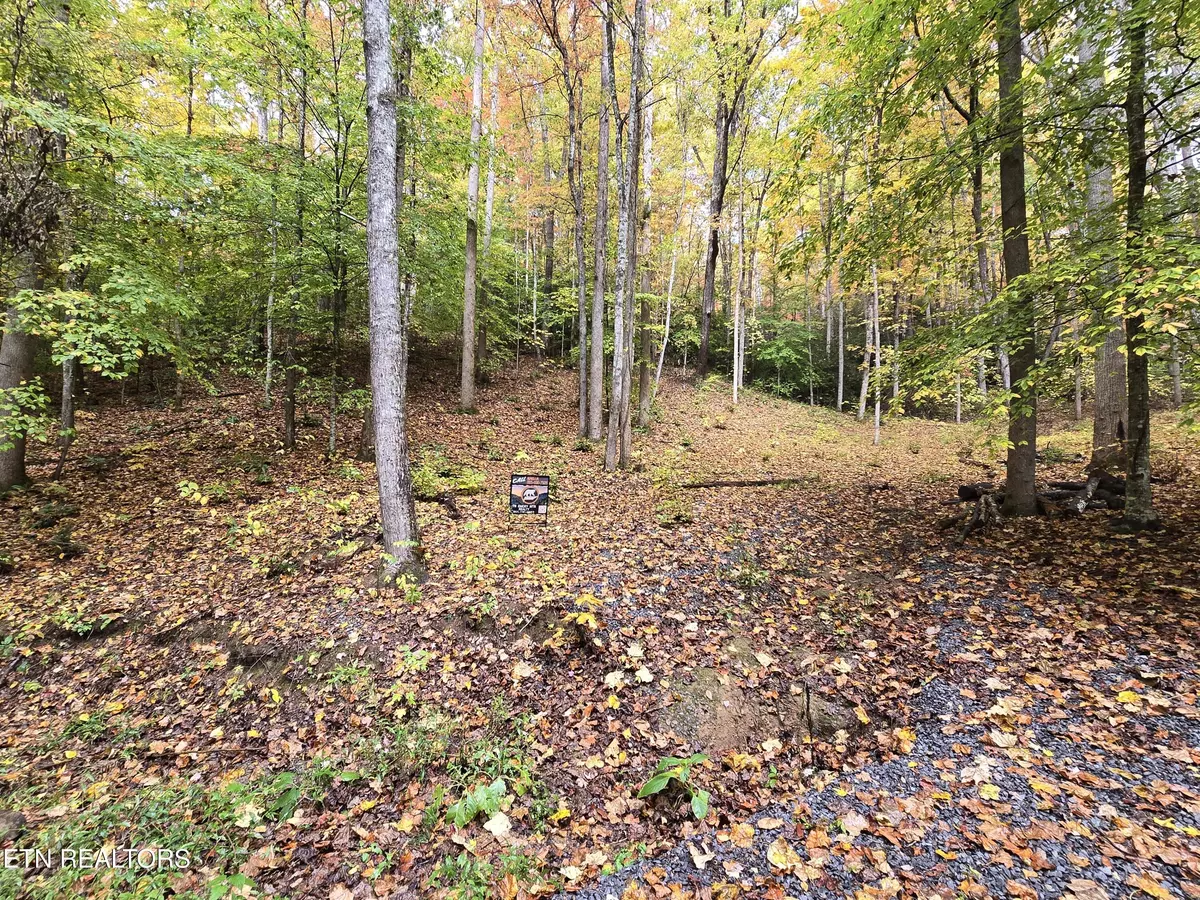 Cosby, TN 37722,Lot 14 Cara Way