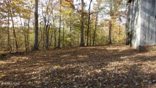 Celina, TN 38551,8.60ac Moss Arcot Rd