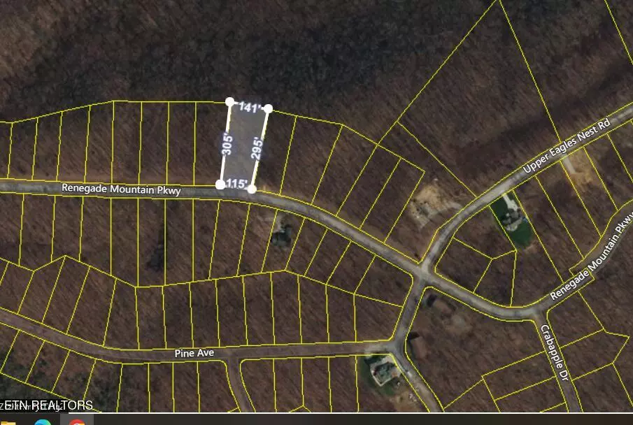 Crab Orchard, TN 37723,lot 317 Renegade Mountain Pkwy