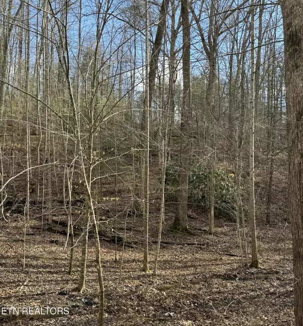 Lot 27 Pinnacle Vista Rd, Gatlinburg, TN 37738