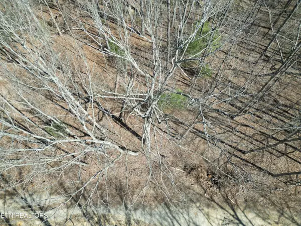 Crossville, TN 38558,222 Sheffield DR