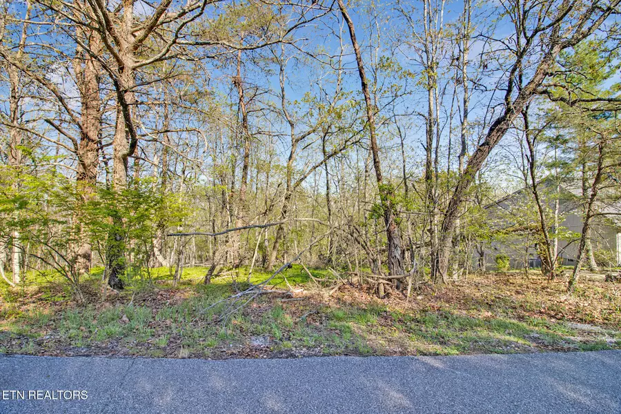 165 Brokenwood LN, Fairfield Glade, TN 38558