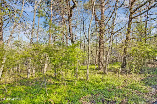 Fairfield Glade, TN 38558,165 Brokenwood LN