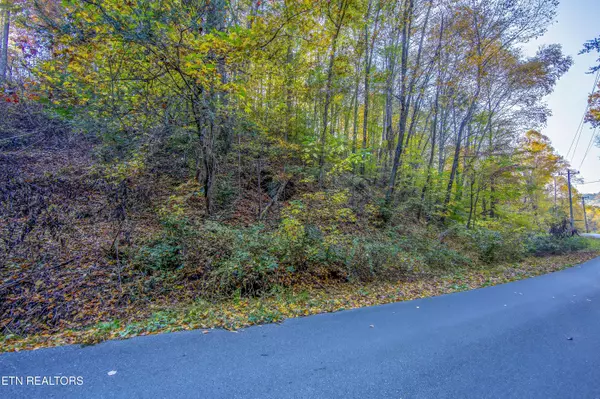 Sevierville, TN 37876,Long Hollow Rd