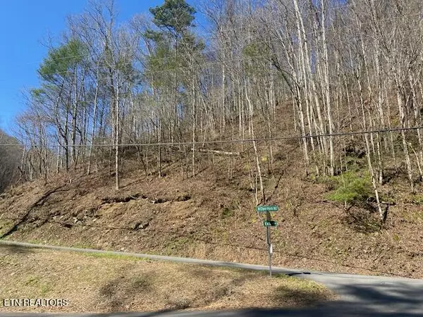 Sevierville, TN 37862,1 & 2 Clear Fork Rd