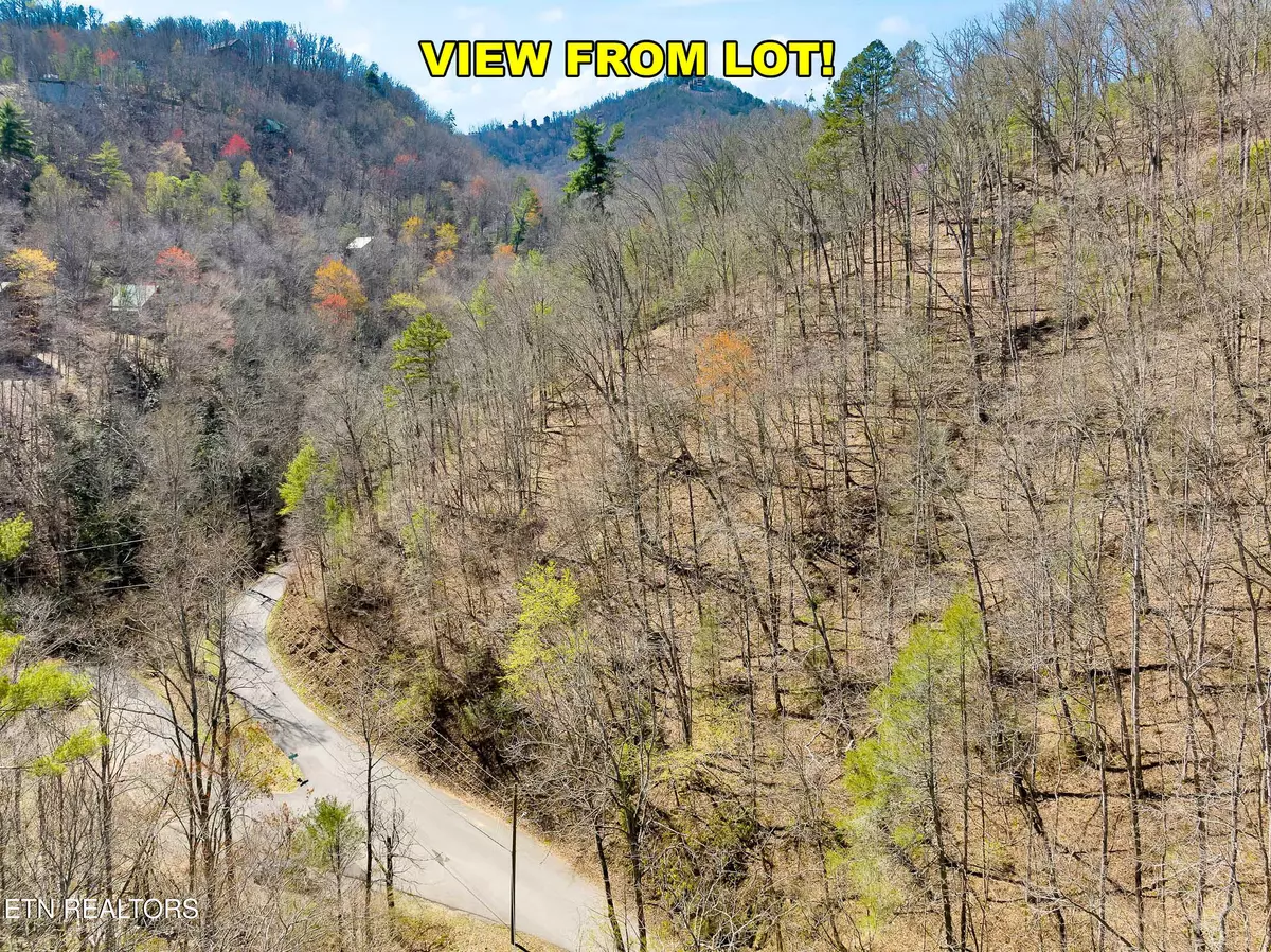 Sevierville, TN 37862,1 & 2 Clear Fork Rd