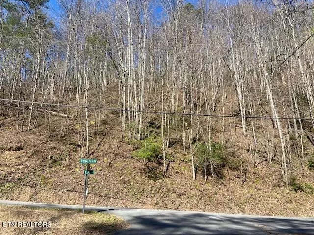 Sevierville, TN 37862,Lot 1 Clear Fork Rd