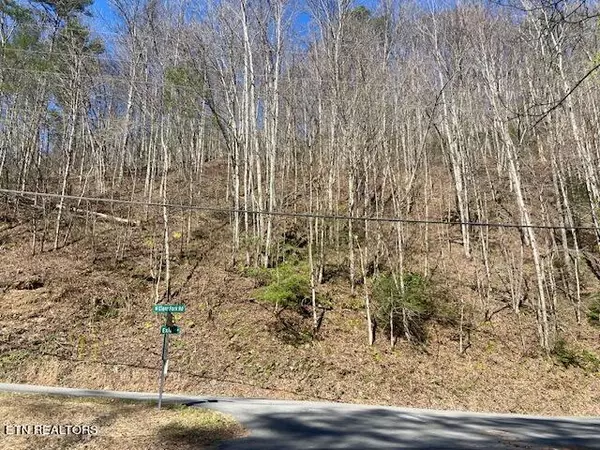 Lot 1 Clear Fork Rd, Sevierville, TN 37862