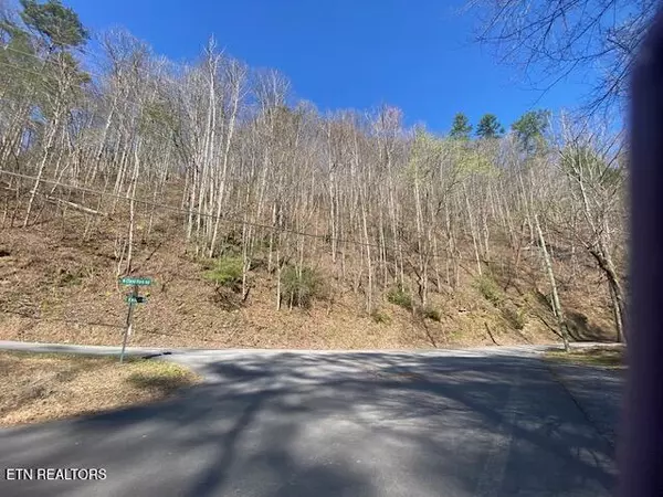 2 N Clear  Fork Rd, Sevierville, TN 37862