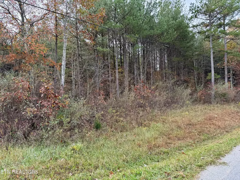 Airport Rd. Lot 4, Rockwood, TN 37854