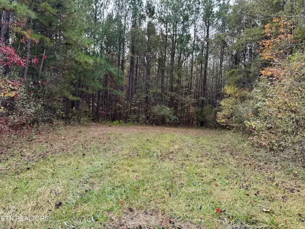 Airport Rd. Lot 9, Rockwood, TN 37854