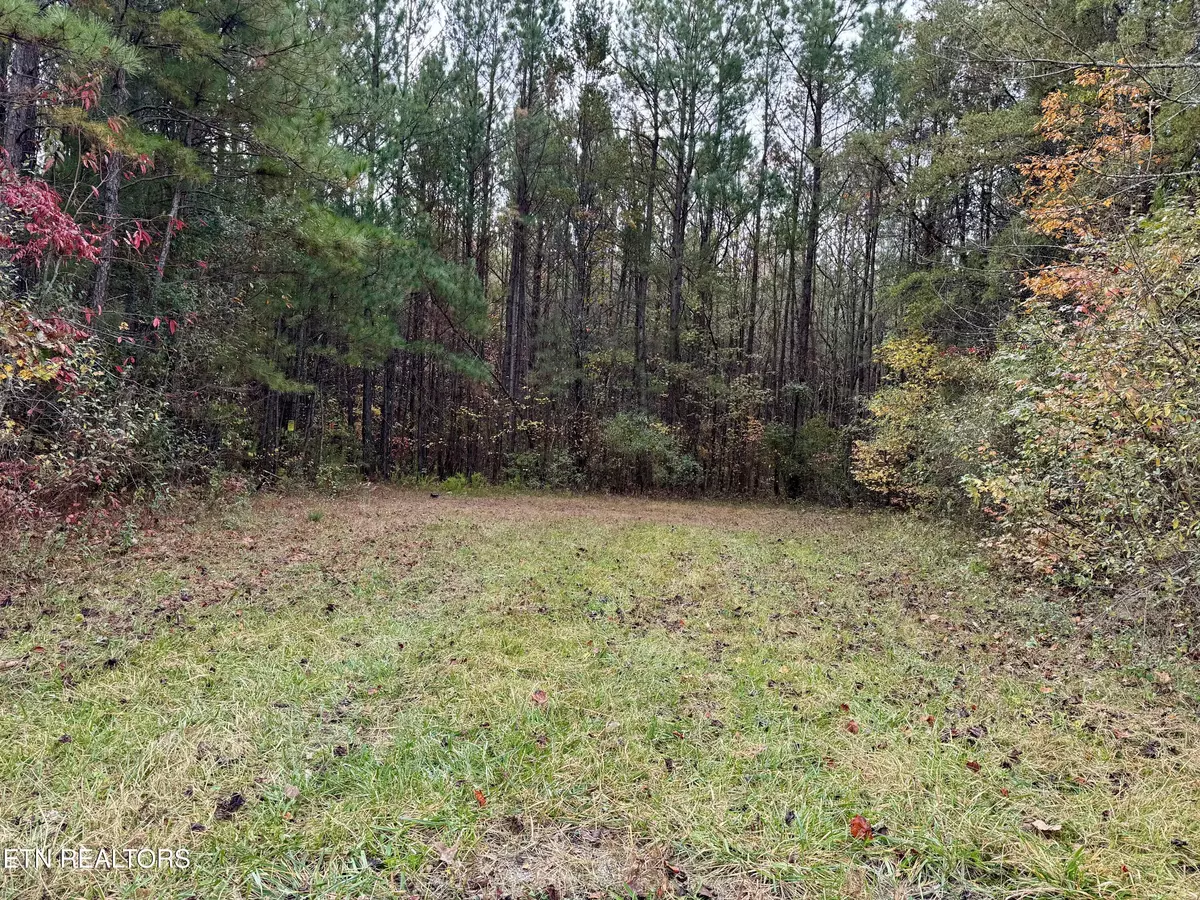 Rockwood, TN 37854,Airport Rd. Lot 9