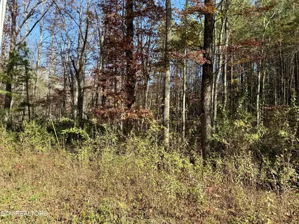 Rockwood, TN 37854,Lower Rockwood Rd Lot 14