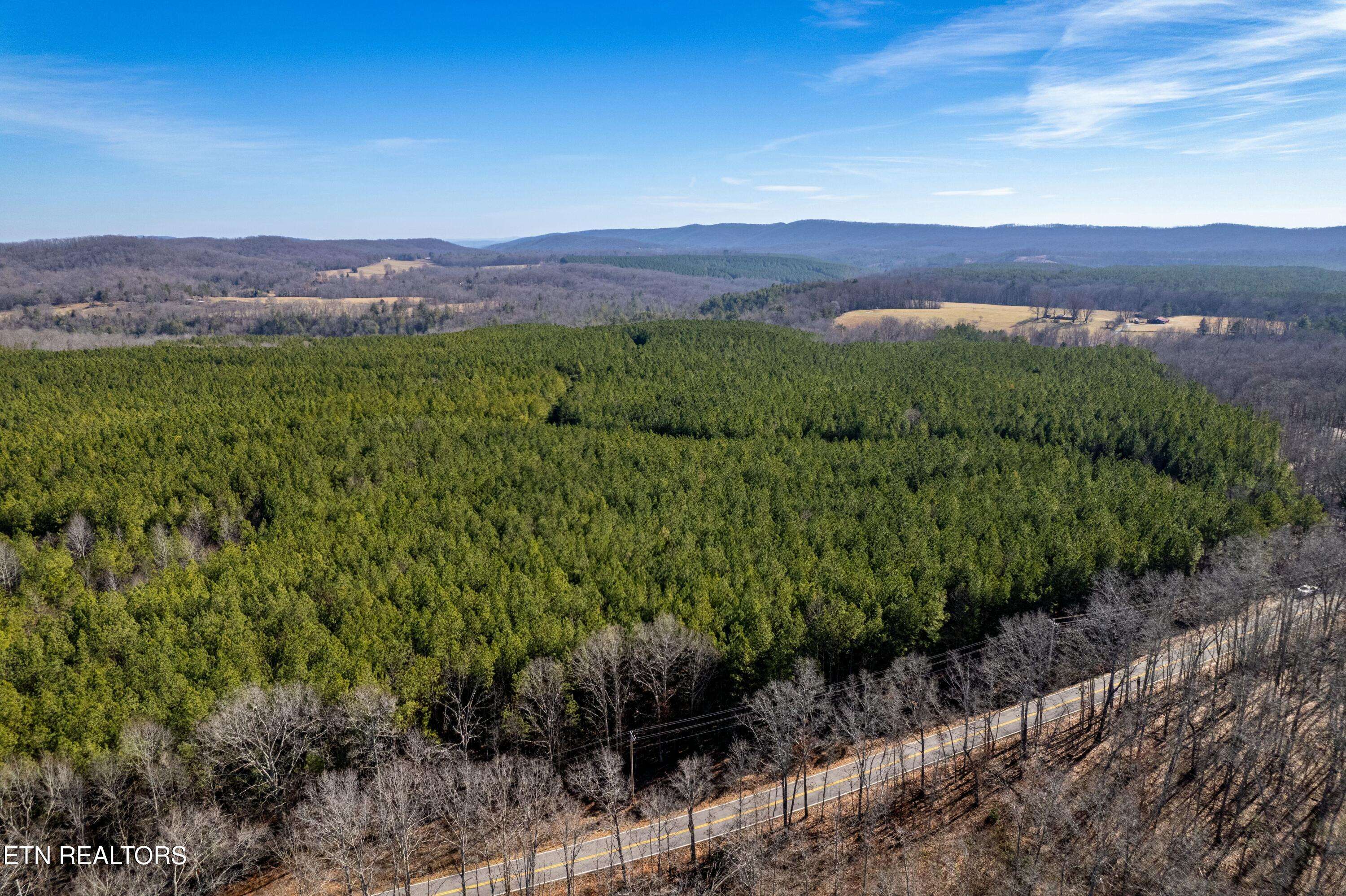 Rockwood, TN 37854,Lower Rockwood Rd Lot 15