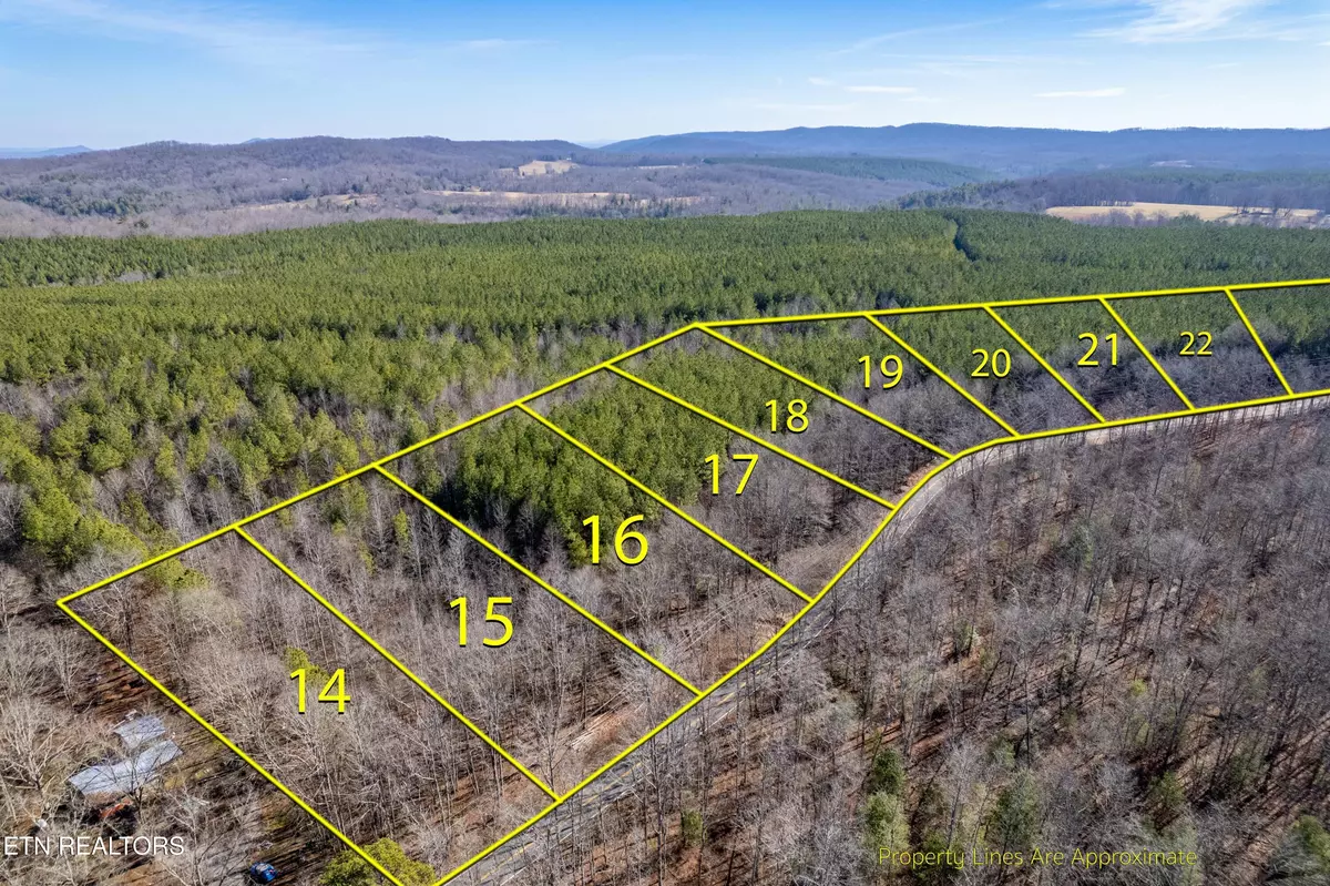 Rockwood, TN 37854,Lower Rockwood Rd Lot 15