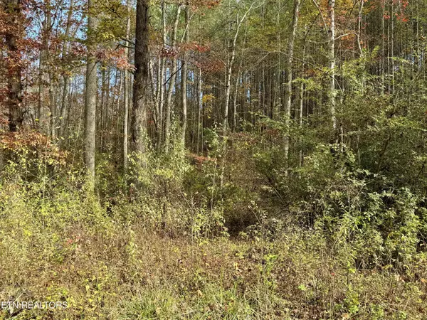 Lower Rockwood Rd Lot 15, Rockwood, TN 37854