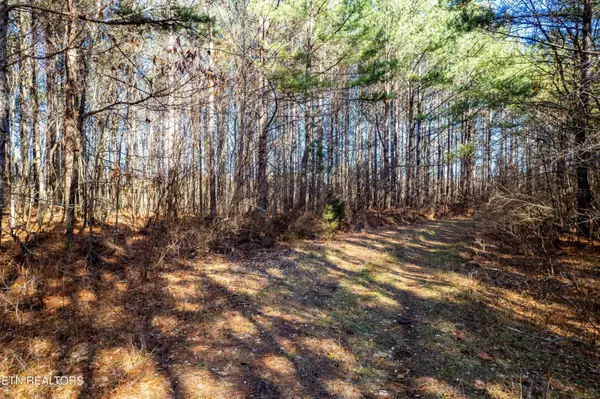 Rockwood, TN 37854,Lower Rockwood Rd Lot 16