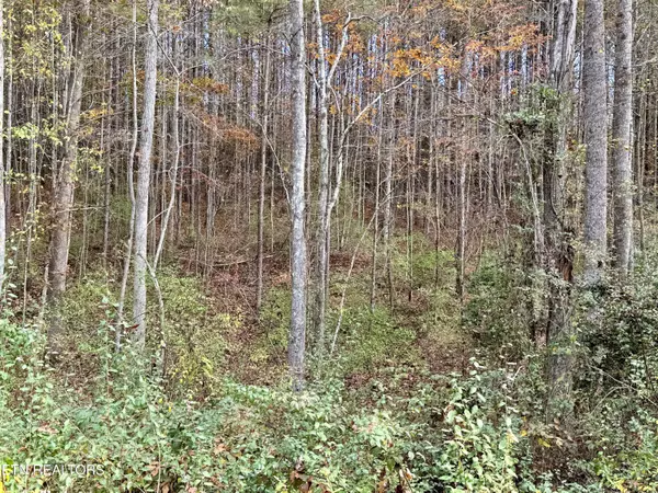 Rockwood, TN 37854,Lower Rockwood Rd Lot 17