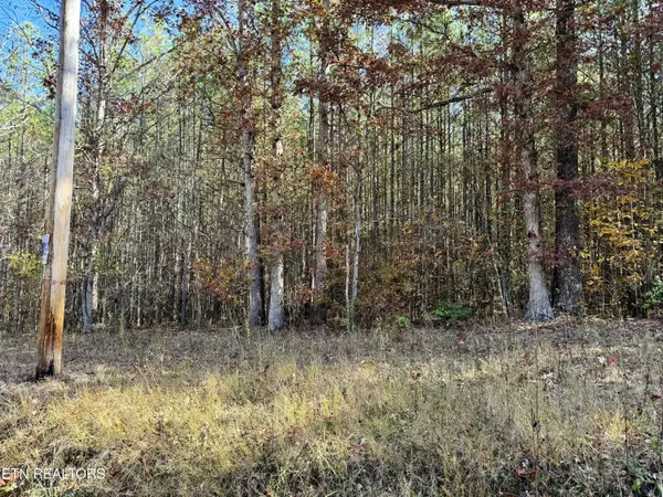 Rockwood, TN 37854,Lower Rockwood Rd Lot 20