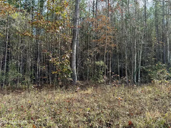 Rockwood, TN 37854,Lower Rockwood Rd Lot 22