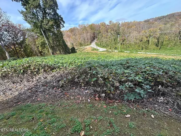 Lot 26 Della Lane, Rocky Top, TN 37769