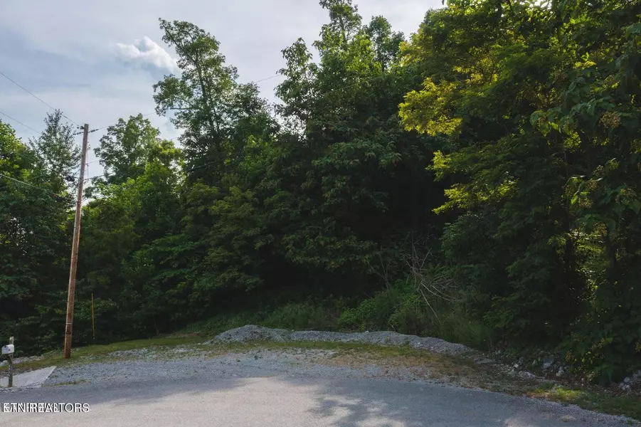 Lot 655 Chimney Rock Rd, New Tazewell, TN 37825