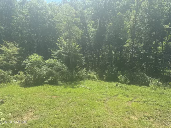 Strawberry Plains, TN 37871,3112 Gibson Rd