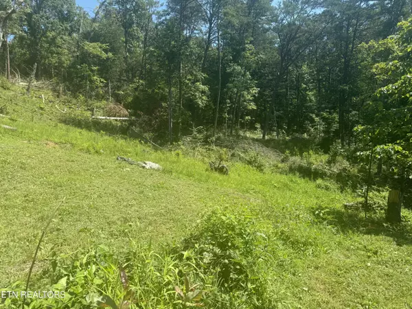 Strawberry Plains, TN 37871,3112 Gibson Rd