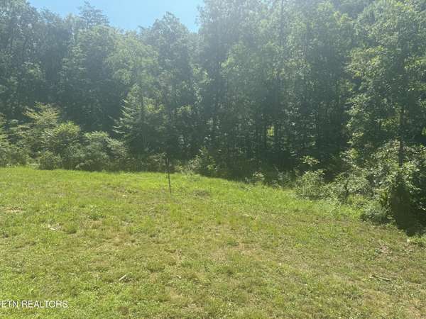 3112 Gibson Rd, Strawberry Plains, TN 37871