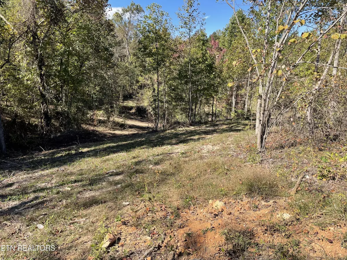 Morristown, TN 37814,Lot 3 Turley Bridge Rd