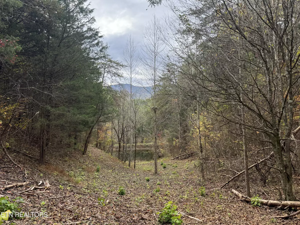 Sevierville, TN 37876,Sugar Loaf -13.5 acres Rd