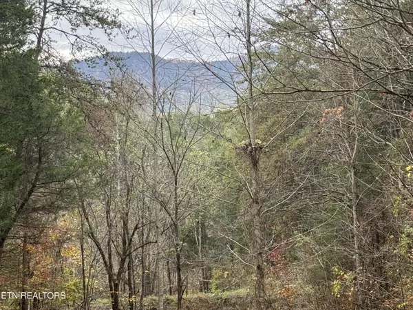 Sevierville, TN 37876,Sugar Loaf -13.5 acres Rd