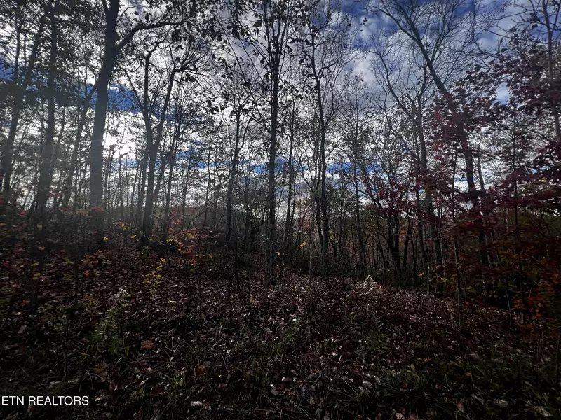 Lot 26 Bills Creek LN, Wilder, TN 38589