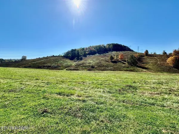 Buffalo Springs Rd, Rutledge, TN 37861