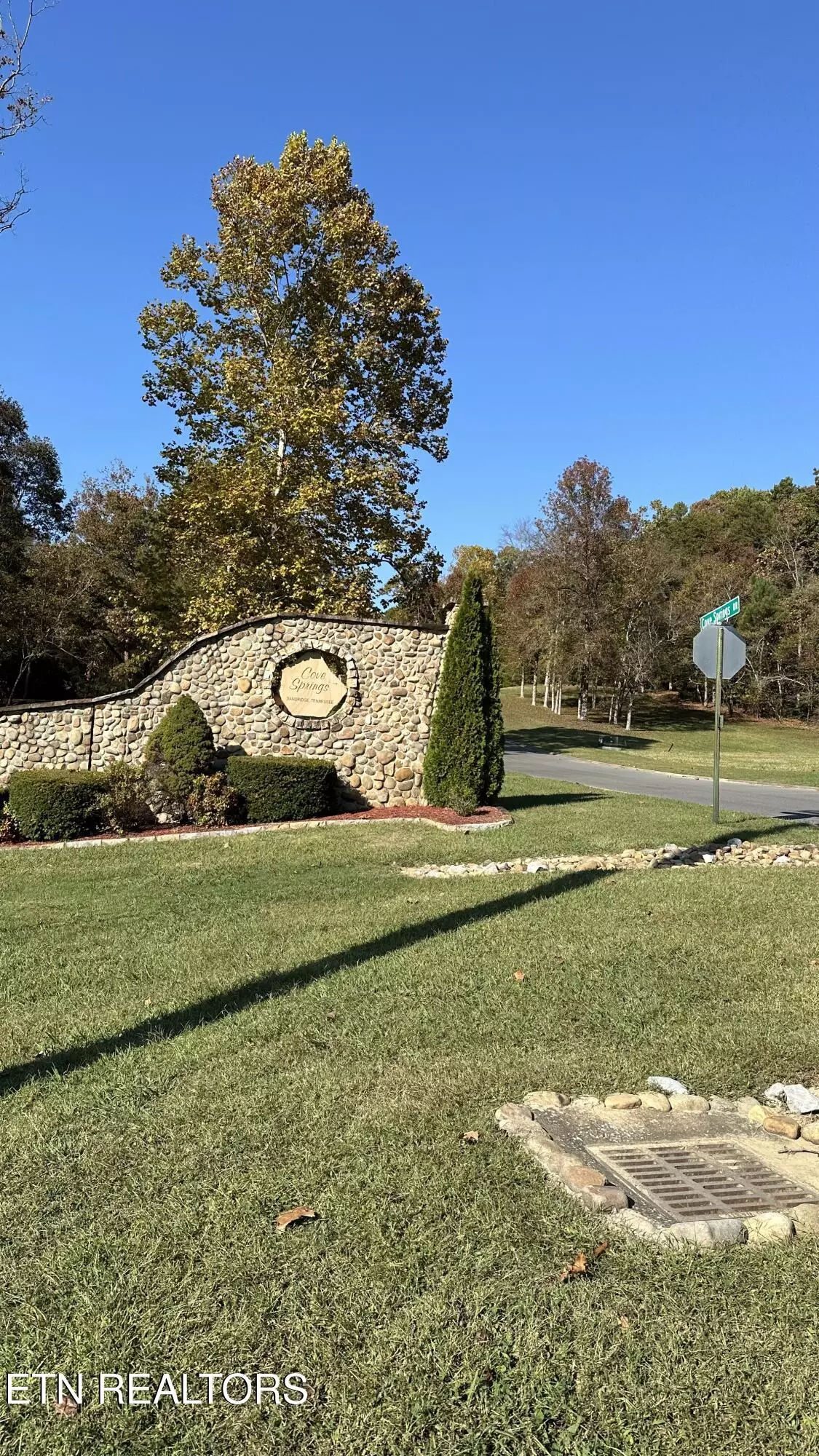 Dandridge, TN 37725,18 Cove Springs DR