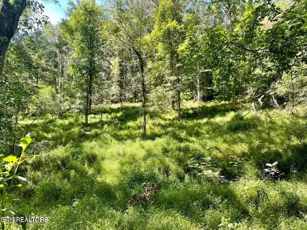 Kingston, TN 37763,Dogwood Valley Rd | Lot 1