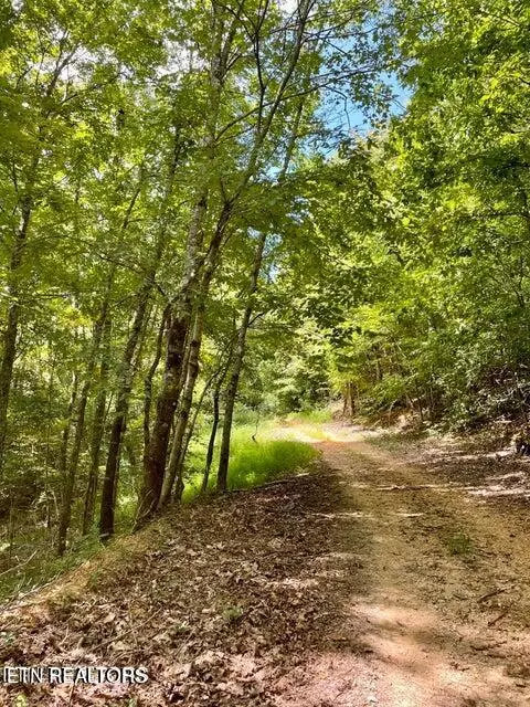 Kingston, TN 37763,Dogwood Valley Rd | Lot 1