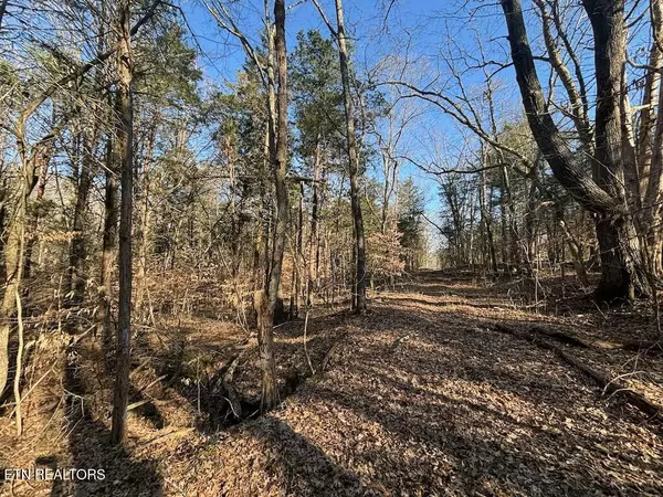 Kingston, TN 37763,Dogwood Valley Rd | Lot 2