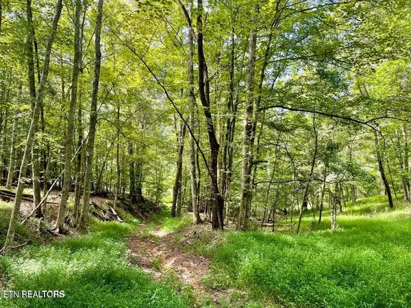 Kingston, TN 37763,Dogwood Valley Rd | Lot 2