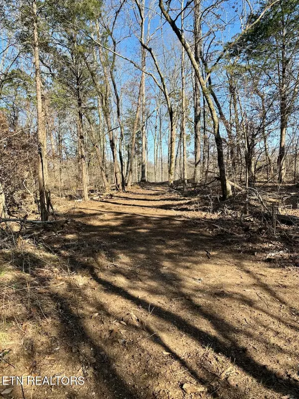 Kingston, TN 37763,Dogwood Valley Rd | Lot 3