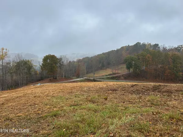 TBD Drinnon Hollow Rd, Sneedville, TN 37869