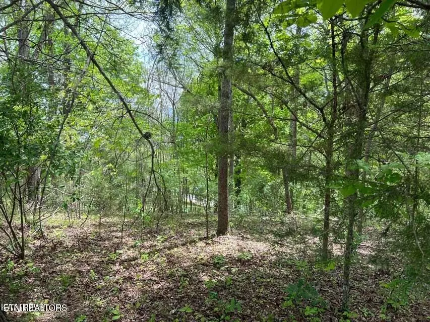 Lafollette, TN 37766,lot 12 Norris View DR