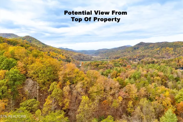 Sevierville, TN 37862,Lots 1 2 3 Timber Grove Rd