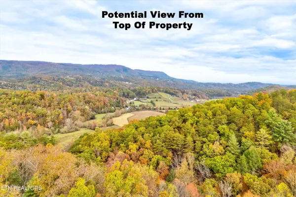 Sevierville, TN 37862,Lots 1 2 3 Timber Grove Rd