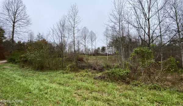 Lafollette, TN 37766,Locust Stump Ridge Rd