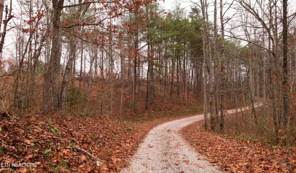 Locust Stump Ridge Rd, Lafollette, TN 37766