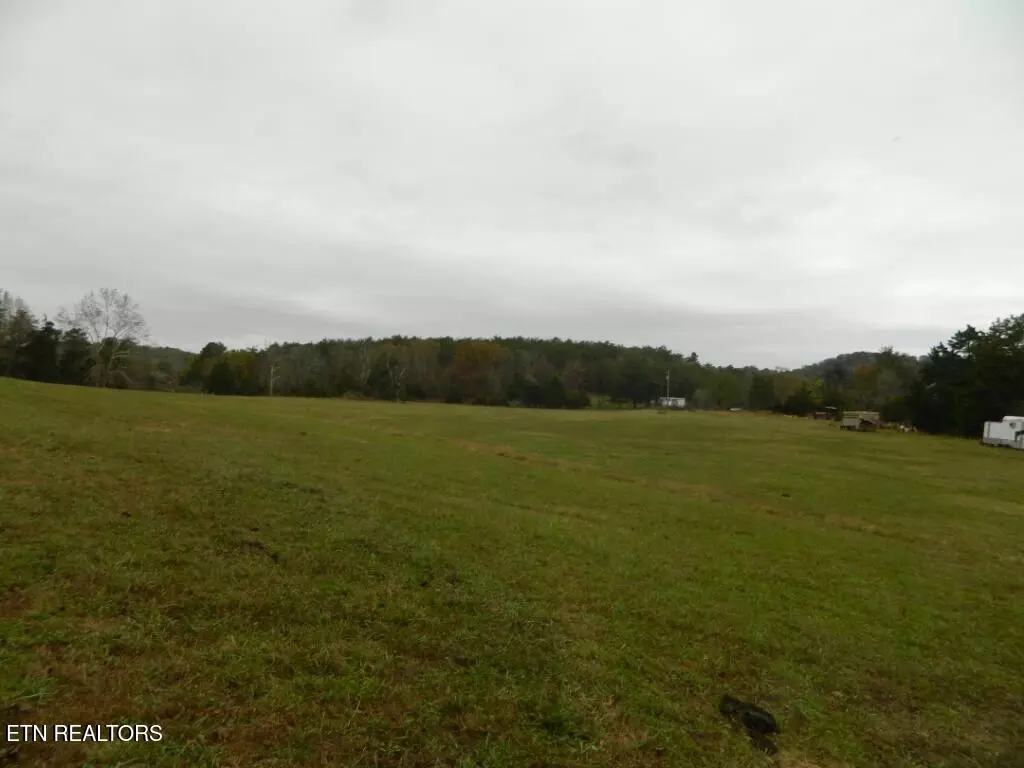 Blaine, TN 37709,Spencer Hollow 75 Acres Rd