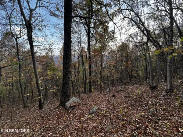 New Tazewell, TN 37825,Lot 675 Chimney Rock Road